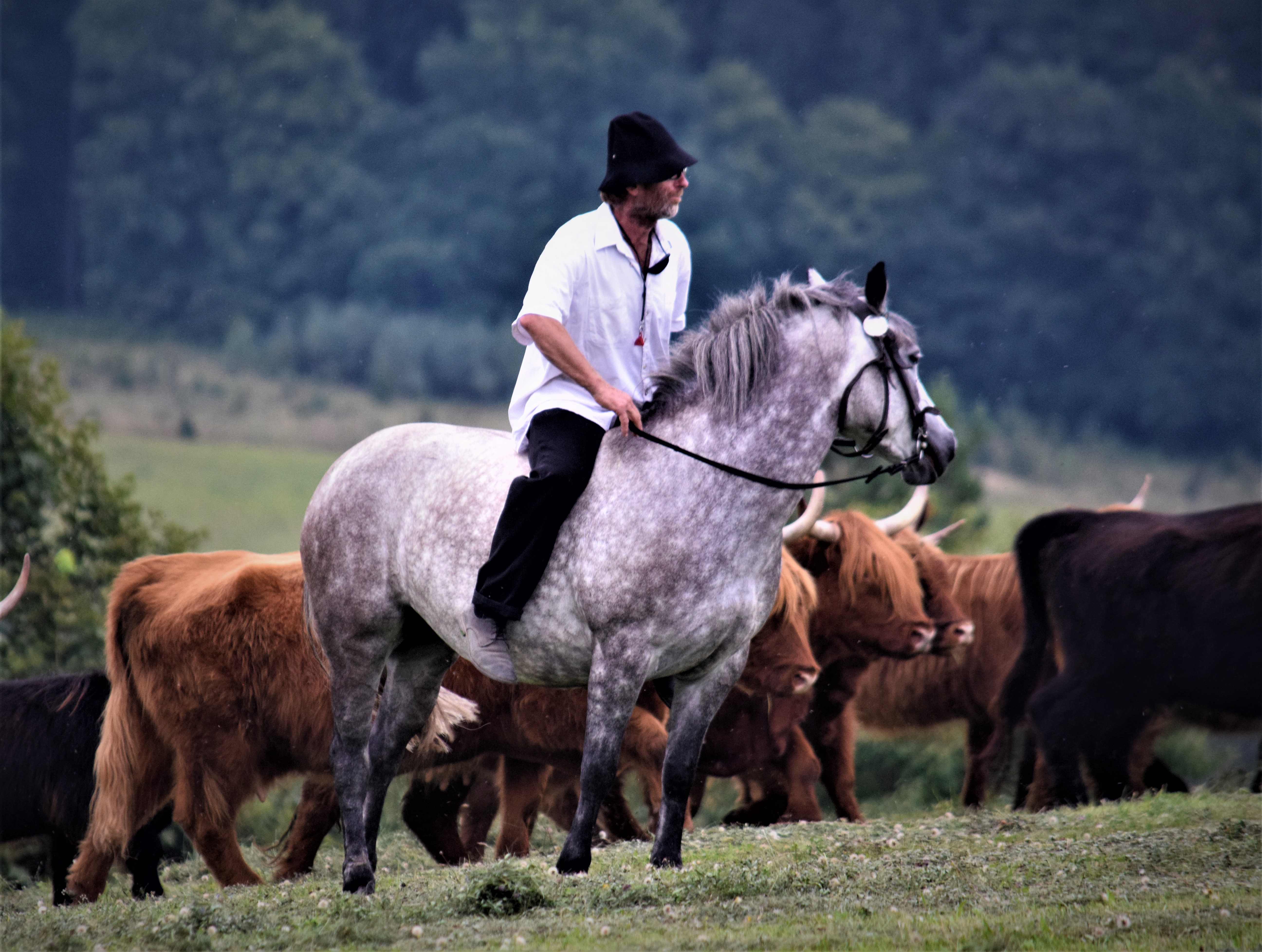 DSC_0099 (2)