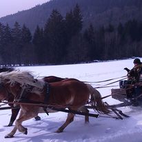 trysk na konich