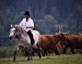 dsc_0104--2-